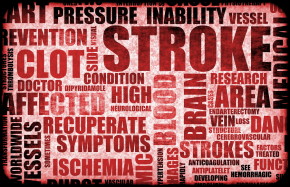 TITLE Boxing Club | Health Basics: What are Strokes and How Can I Prevent Them?