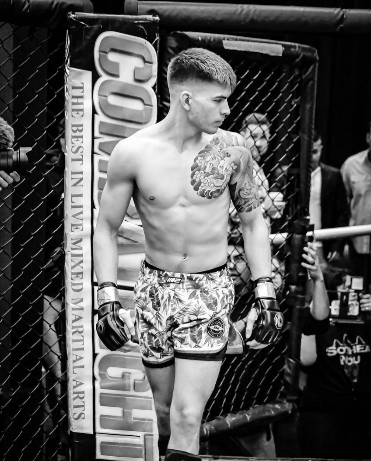 katy tx mixed martial arts training katy tx mixed martial arts training