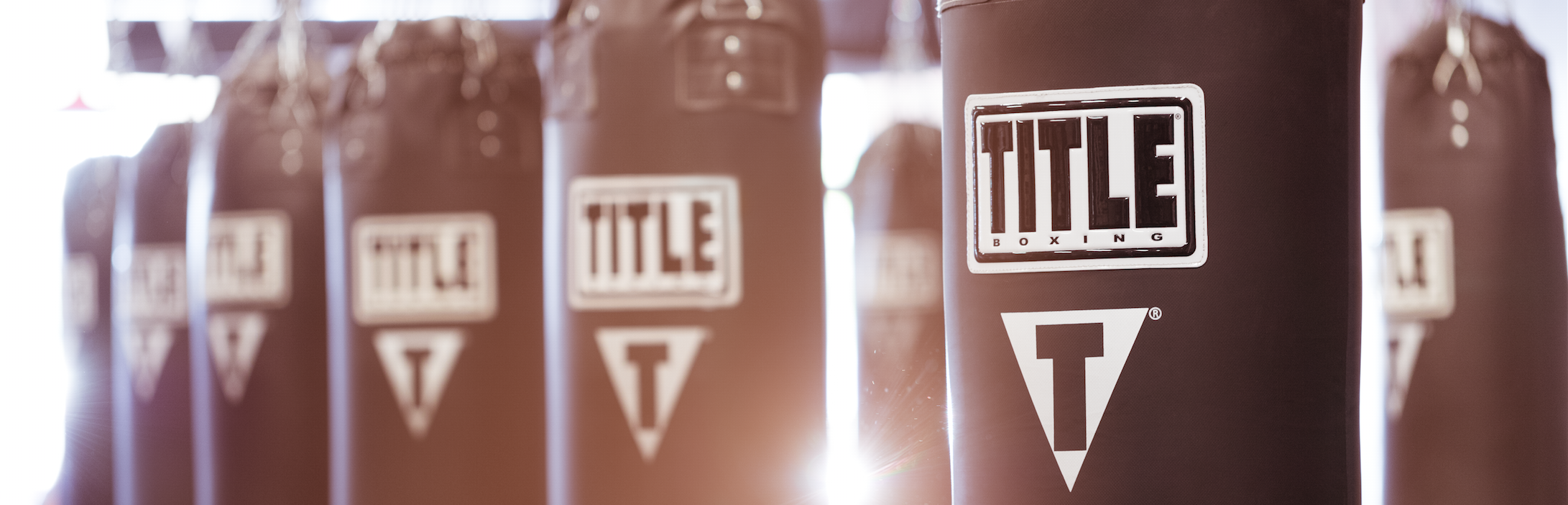title boxing club nanuet heavy bags